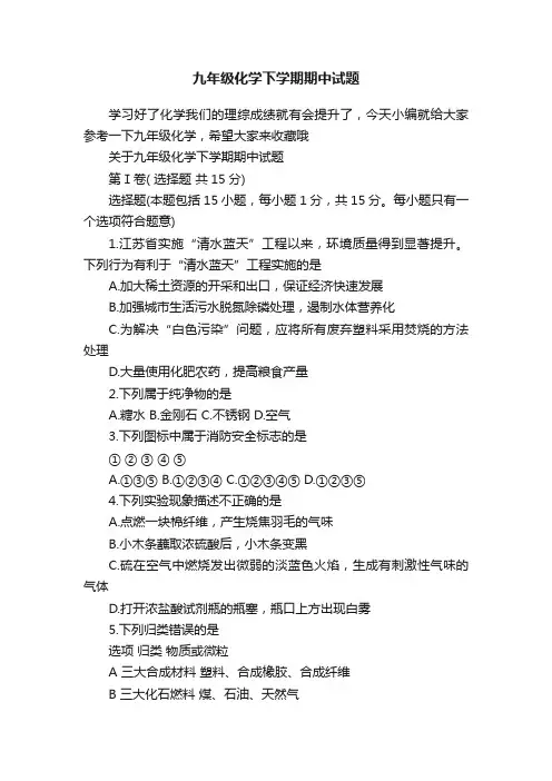 九年级化学下学期期中试题