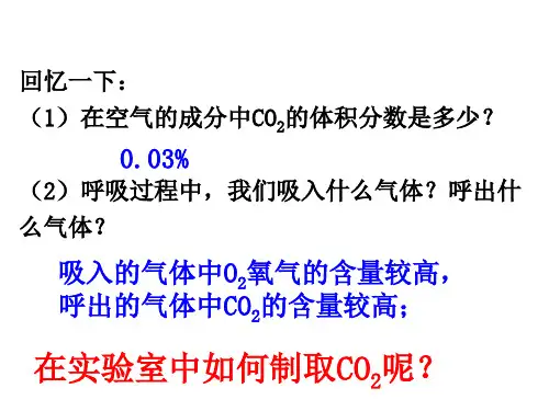 二氧化碳制取的研究PPT人教版