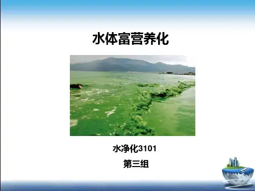富营养化PPT课件