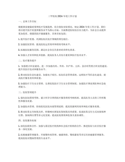 三甲医院2024年度工作计划