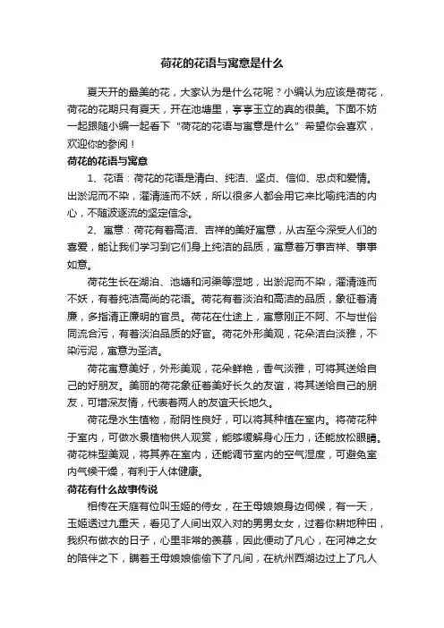 荷花的花语与寓意是什么