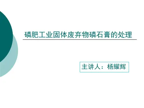 磷肥工业固体废弃物磷石膏的处理 PPT课件
