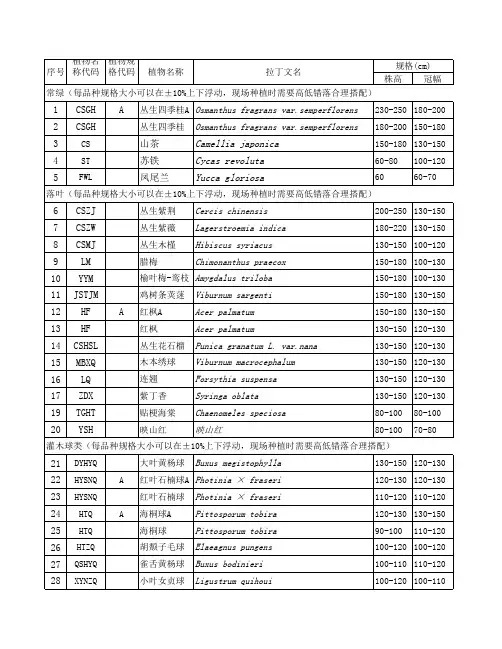 灌木苗木表
