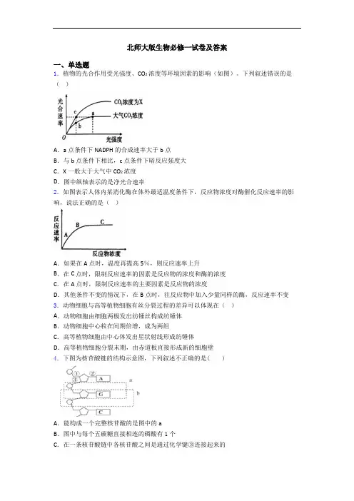 北师大版生物必修一试卷及答案