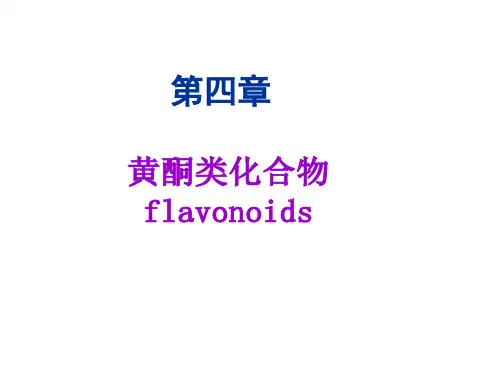 第四章黄酮2