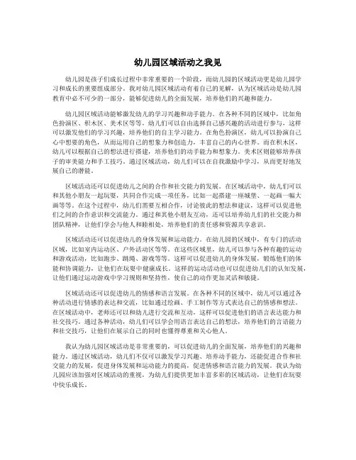 幼儿园区域活动之我见