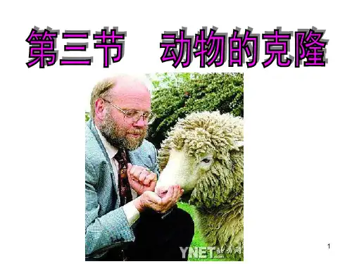 动物的克隆(浙科版)  ppt课件