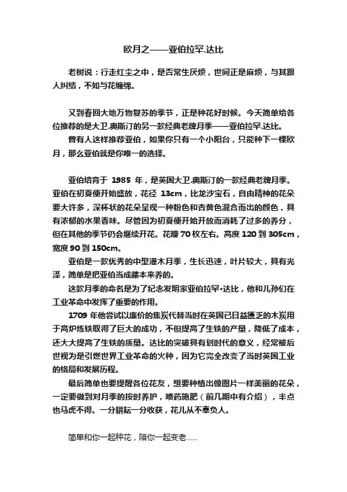 欧月之——亚伯拉罕.达比