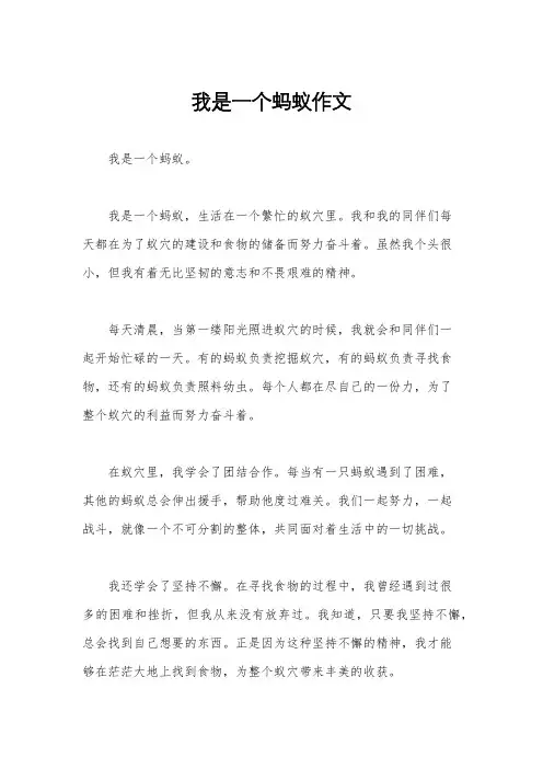 我是一个蚂蚁作文