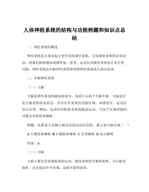 人体神经系统的结构与功能例题和知识点总结
