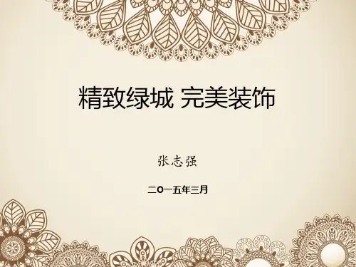 绿城精装修(主汇报)