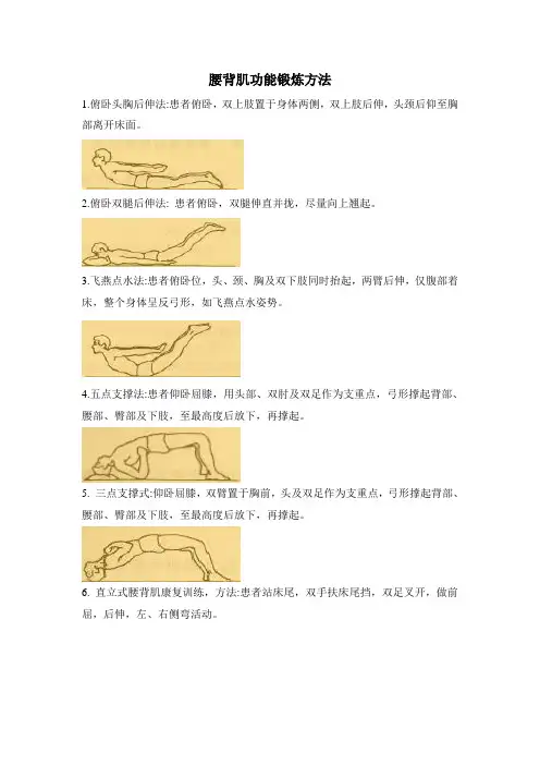 腰背肌功能锻炼方法