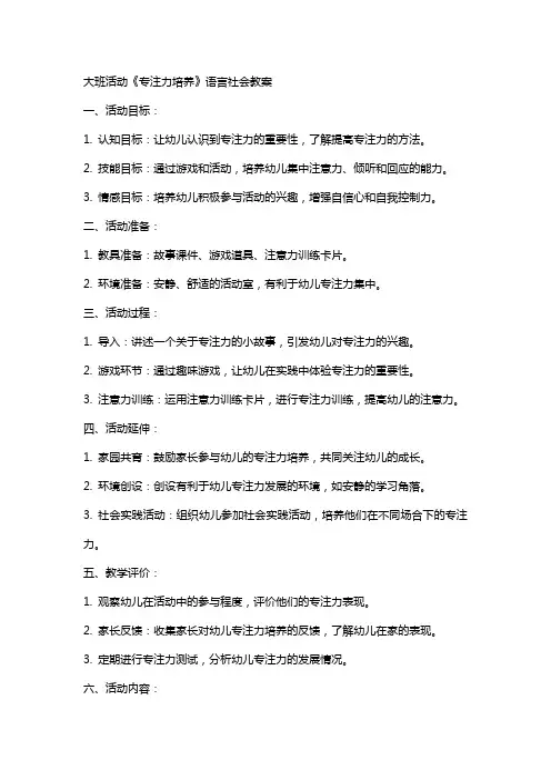 大班活动《专注力培养》语言社会教案