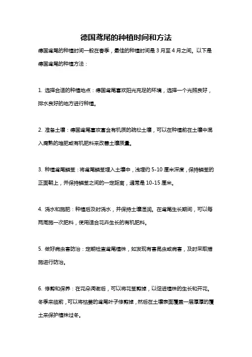 德国鸢尾的种植时间和方法