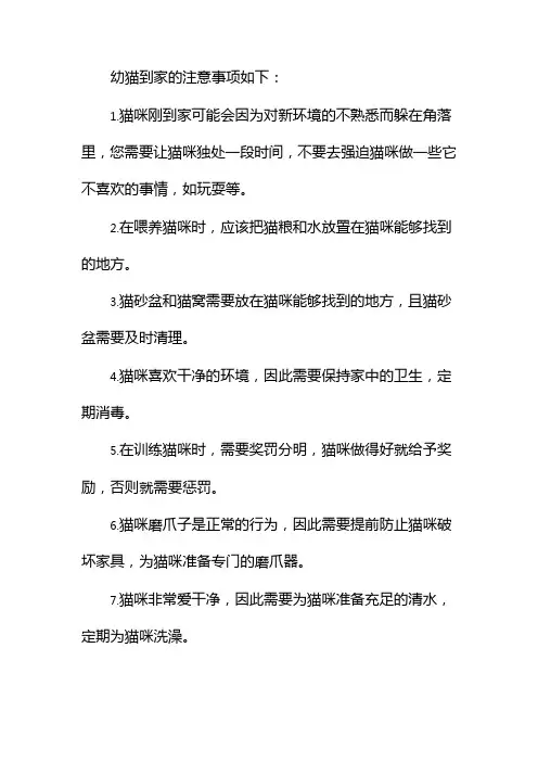 幼猫到家的注意事项