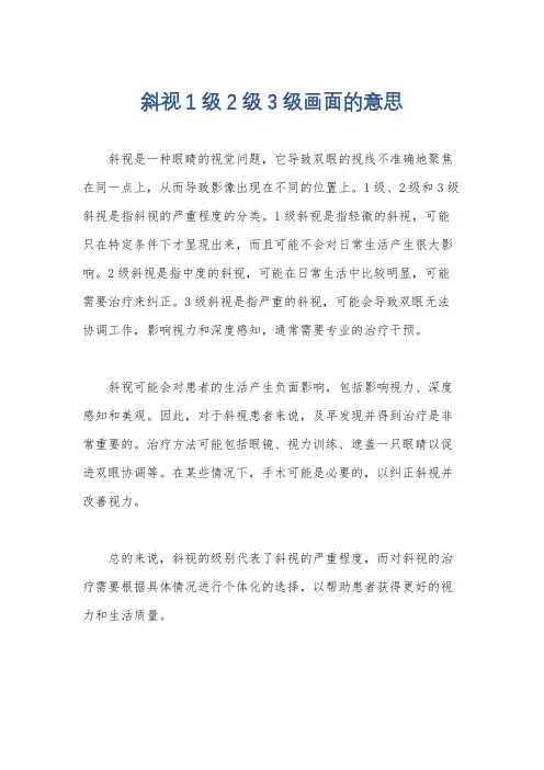 斜视1级2级3级画面的意思
