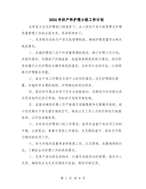 2024年妇产科护理小组工作计划（五篇）