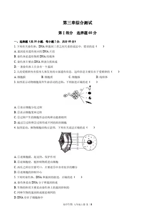 苏教版初中生物七年级上册第三章综合测试试卷-含答案01