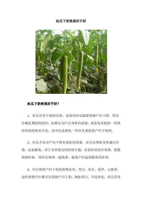 丝瓜下奶效果好不好