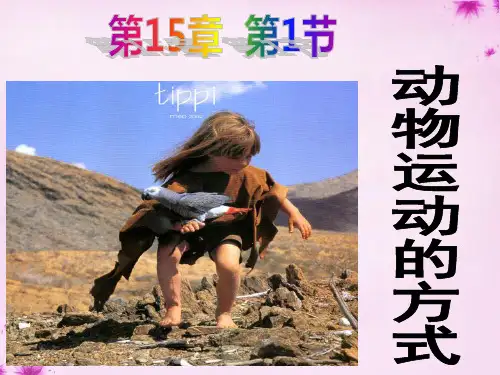 2022秋八年级生物上册 第十五章 第一节 动物运动的方式课件 北师大版