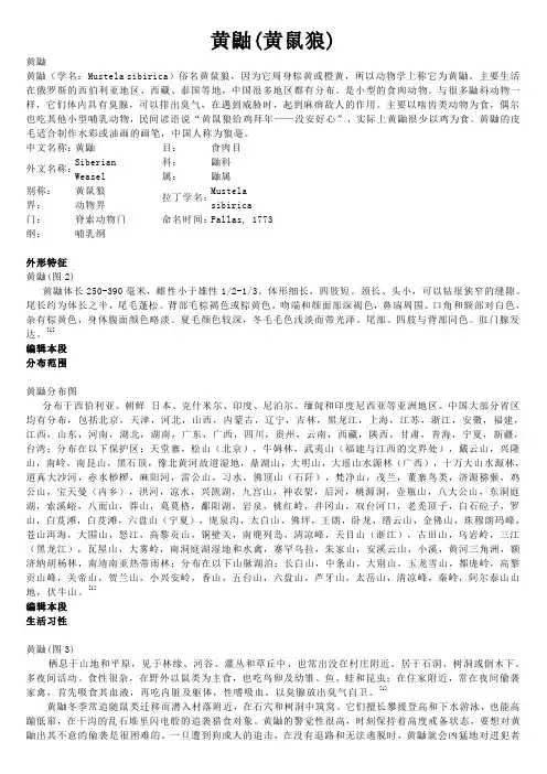 黄鼬(黄鼠狼)