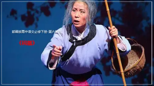 12.《祝福》课件25张 优秀公开课获奖课件统编版高中语文必修下册