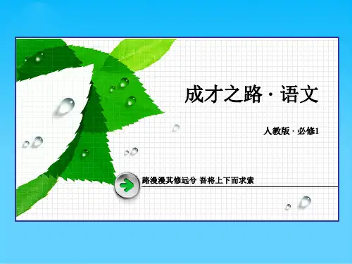 高中语文必修一第三单元ppt(课件+练习+单元总结,打包7份) 人教课标版3