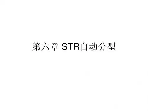 第五章 STR自动分型