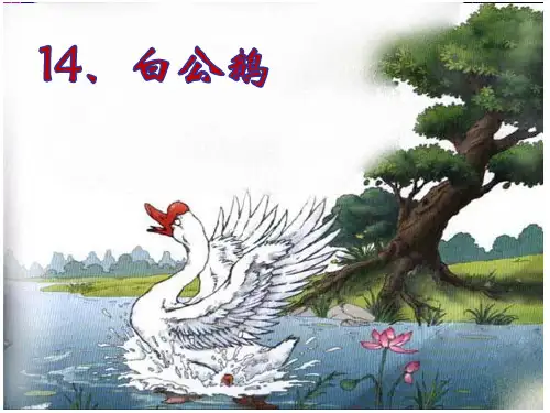 白公鹅(完整课件)(1)