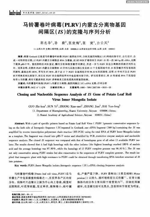 马铃薯卷叶病毒(PLRV)内蒙古分离物基因间隔区(IS)的克隆与序列分析