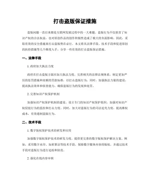 打击盗版保证措施