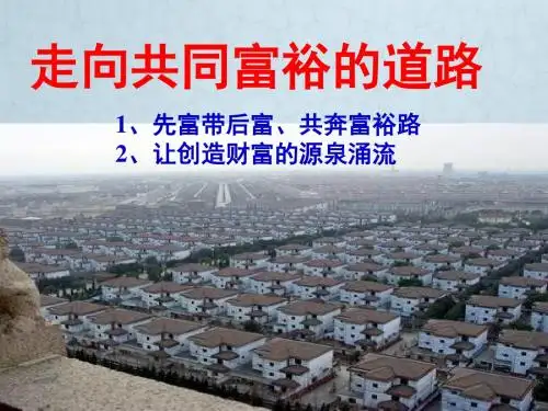 九年级政治全册 第七课 第二框 走向共同富裕的道路精品课件 新人教版