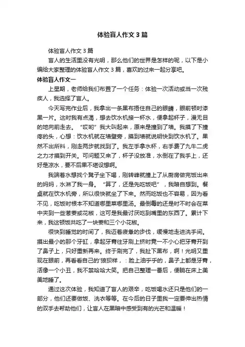 体验盲人作文3篇