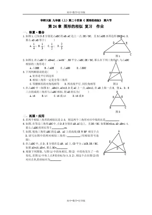 华师大版-数学-九年级上册-第二十四章 图形的相似 单元测试 复习作业  