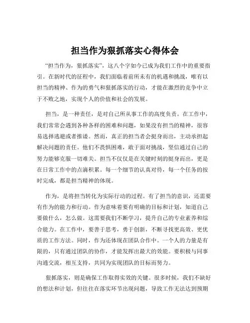 担当作为狠抓落实心得体会