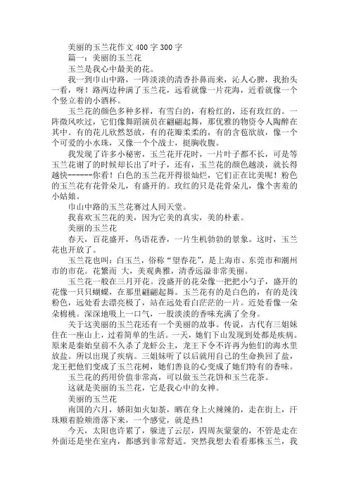 美丽的玉兰花作文400字300字