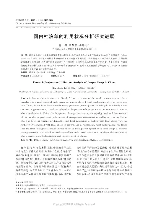 国内杜泊羊的利用状况分析研究进展