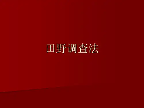 田野调查法