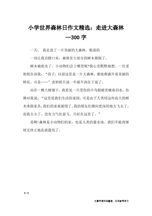 小学世界森林日作文精选：走进大森林—300字_节日作文