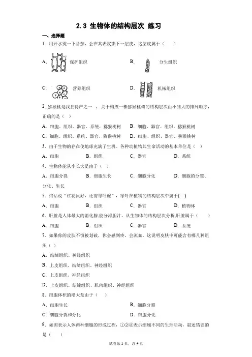 生物体的结构层次 练习-2021—2022学年浙教版七年级上学期科学(word,含解析)