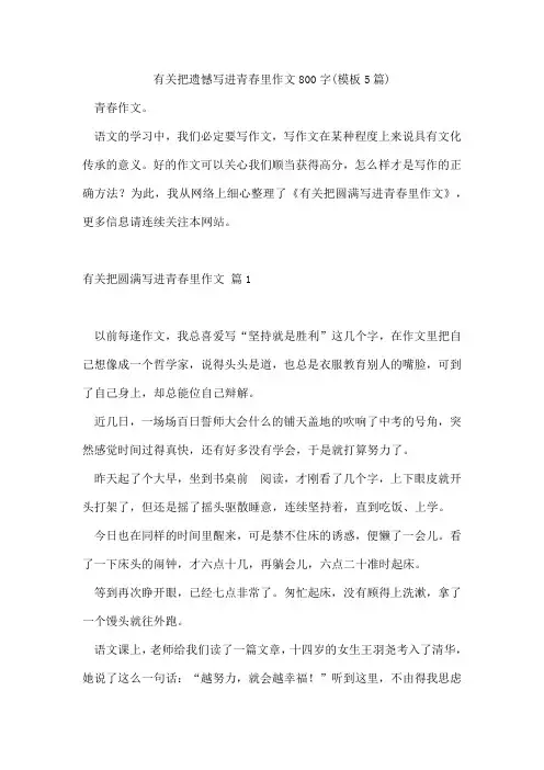 有关把遗憾写进青春里作文800字(模板5篇)