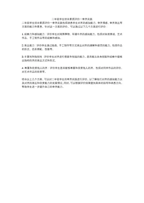二年级学生综合素质评价一审美实践