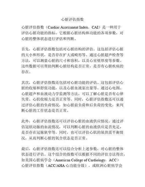 心脏评估指数