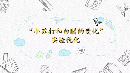 小学科学 小苏打和白醋的变化