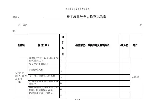 安全质量环保大检查记录表