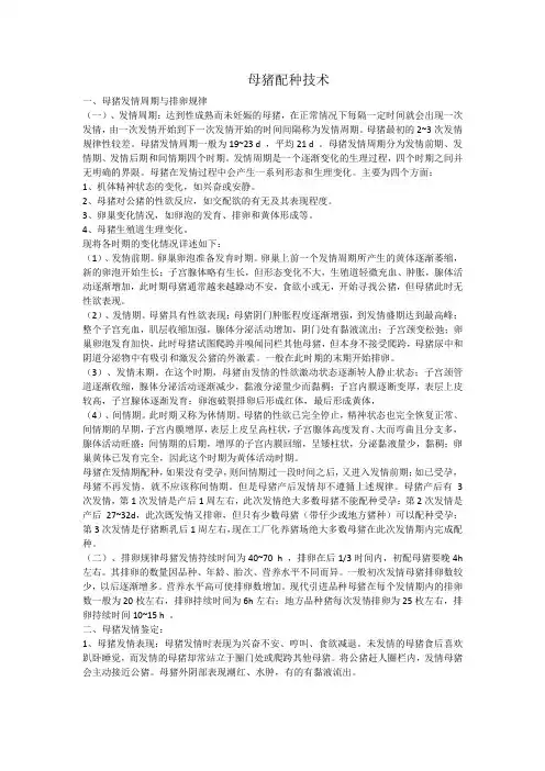 母猪配种技术