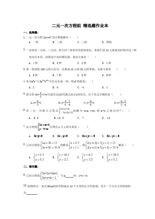 二元一次方程组 精选题作业本 (含答案)