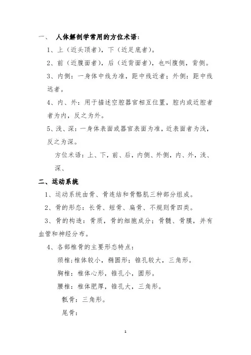 解剖学基础