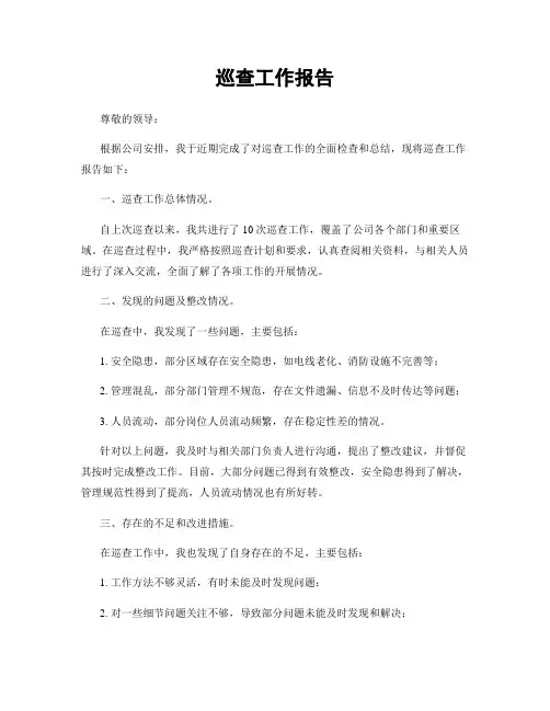 巡查工作报告