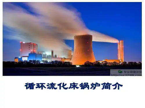 循环流化床锅炉简介幻灯片PPT